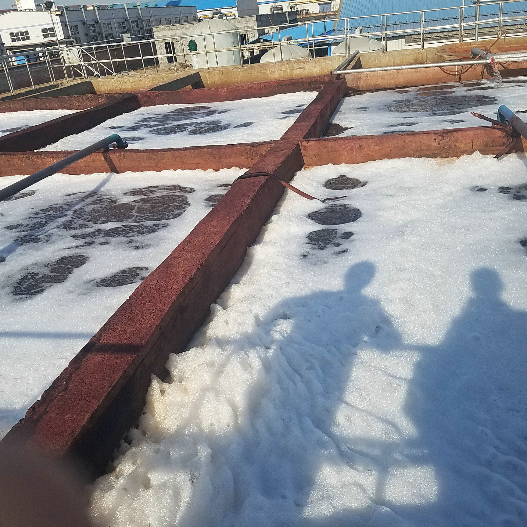 商丘大鳴發毛絨制品污水處理工程